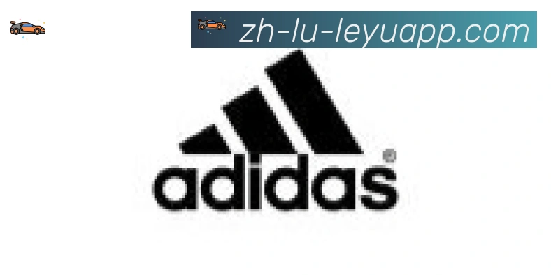 乐鱼体育入口合作伙伴